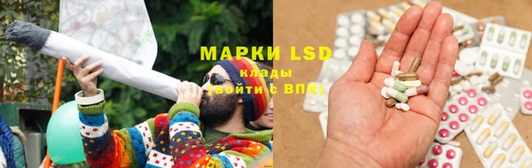 индика Волоколамск