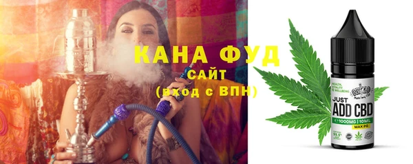 индика Волоколамск