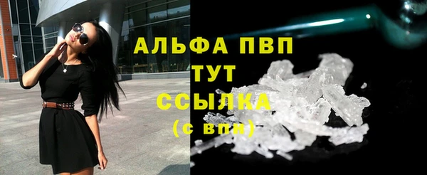 индика Волоколамск