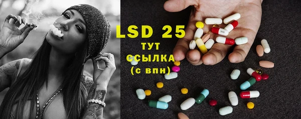 индика Волоколамск