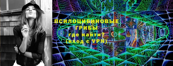 индика Волоколамск