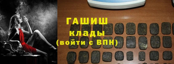 индика Волоколамск
